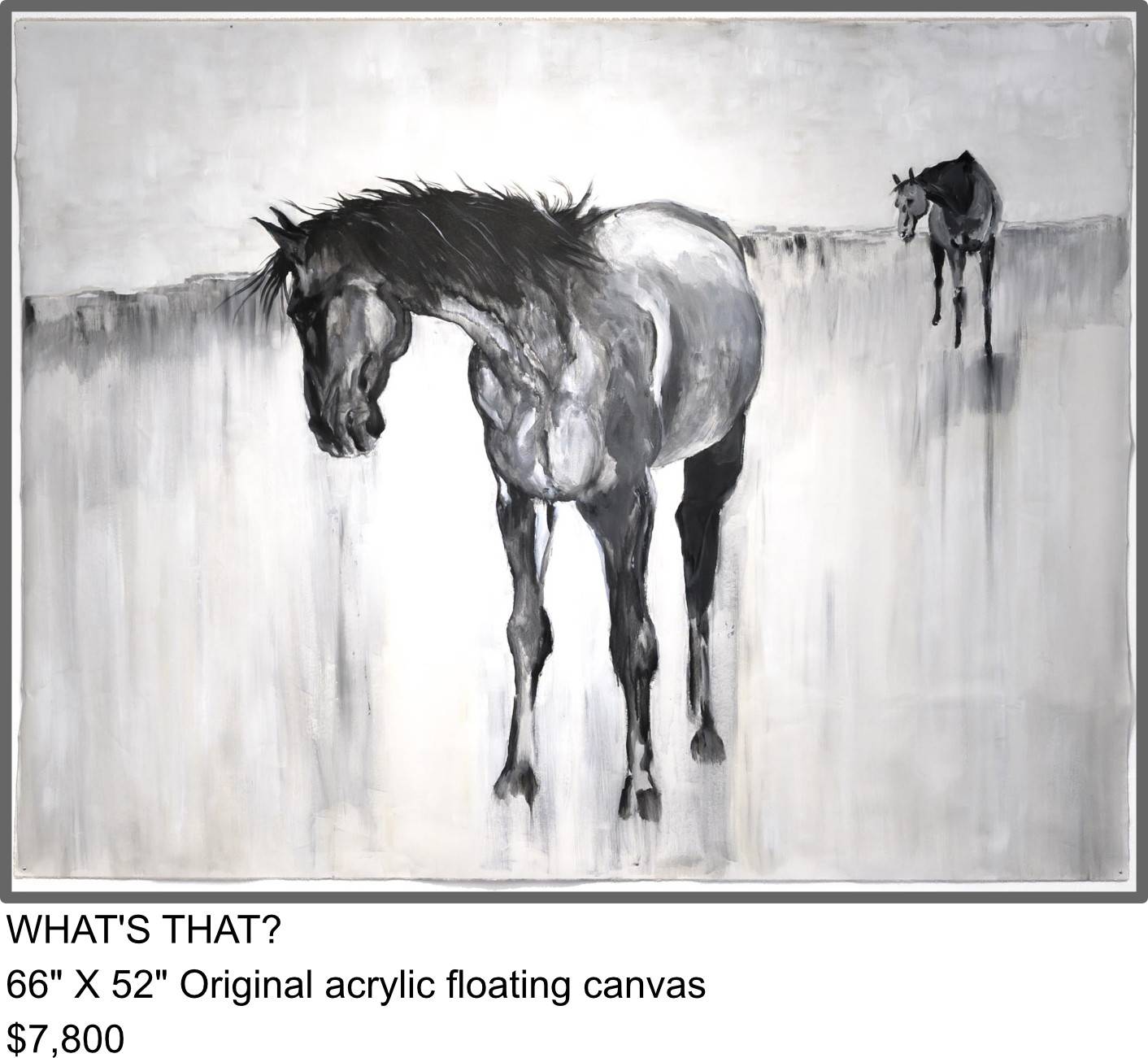 what's that by Jacqui Austin